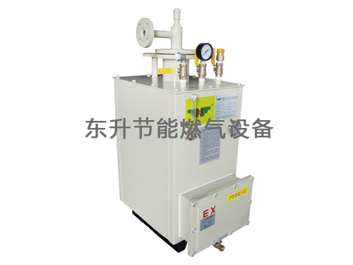 大香蕉手机在线(LPG)防爆型香蕉视频成人器(DS30—50kg／h)